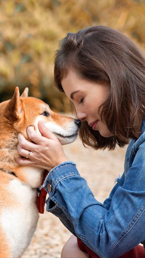 whatsapp image 2025 08 23 at 22.36.15