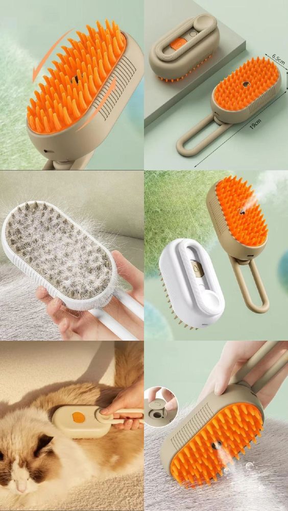 whatsapp image 2025 08 25 at 18.24.35