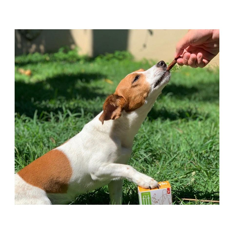 whatsapp image 2025 08 26 at 16.47.46