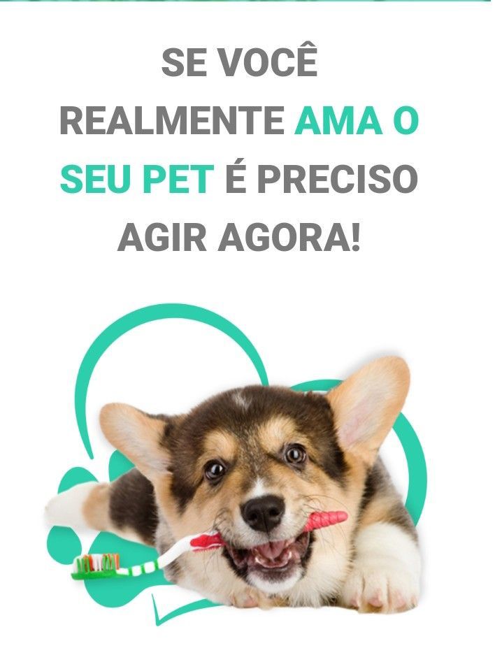 whatsapp image 2025 10 26 at 20.57.59